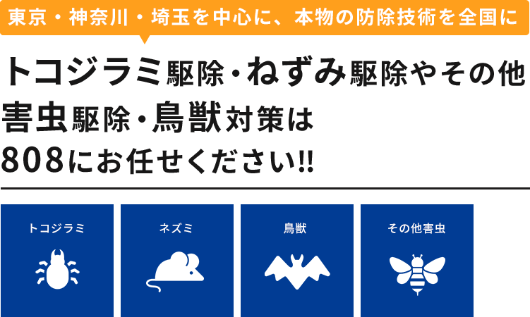 東京・神奈川・埼玉のトコジラミ、ねずみ、など害虫駆除や鳥獣対策は808シティにお任せください‼