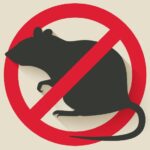 ネズミ駆除は超音波で可能？メリットやデメリットは？