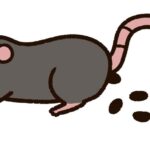 ネズミはふんで種類が分かる！ふんの見分け方と掃除の仕方