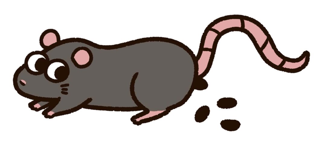 ネズミはふんで種類が分かる！ふんの見分け方と掃除の仕方