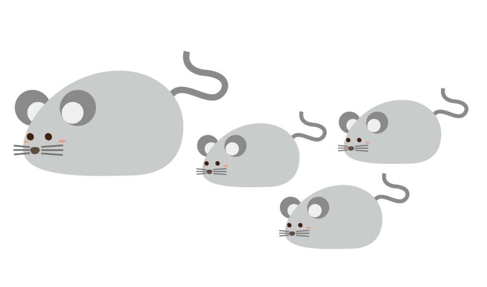ネズミは自然にいなくなる？ならない？放置の危険と対策法を解説