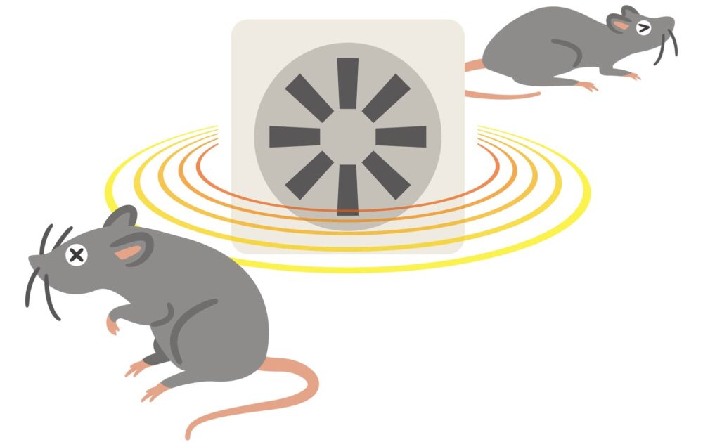 ネズミ対策に「蚊取り線香」！その効果と徹底した対策法を解説